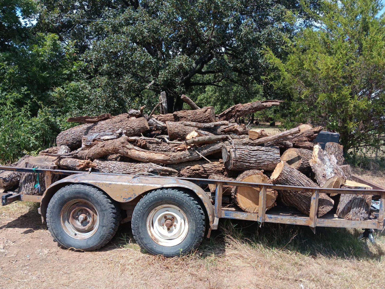 Trailer loaded with large cut logs in wooded area