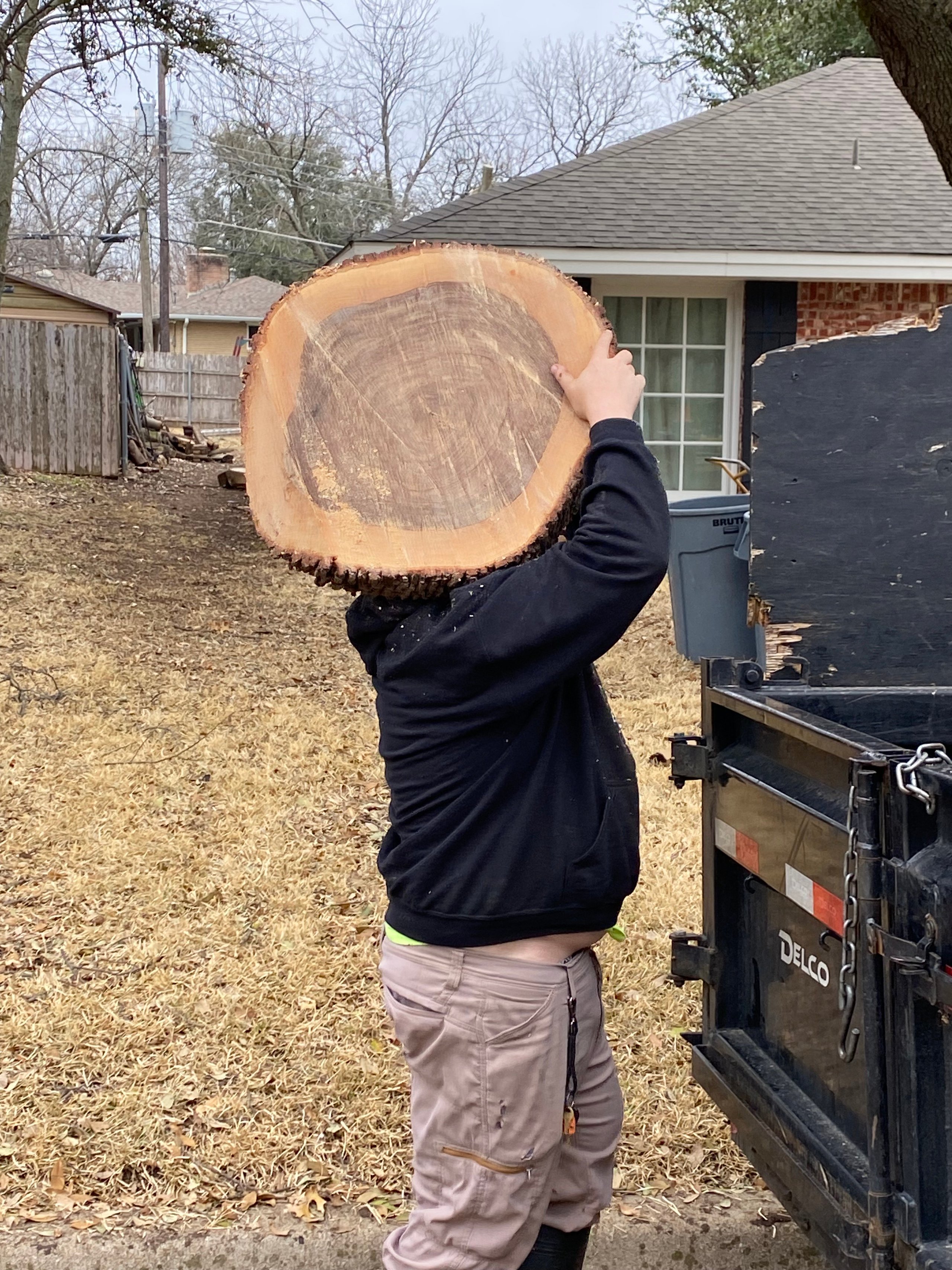 Person holding large cross-section of tree trunk near trailer